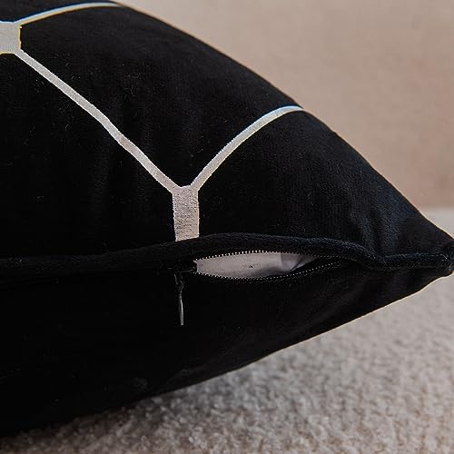 WACOMECO Silver Throw Pillow Covers, Pack of 2 Soft Velvet Decorative
