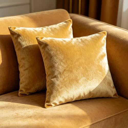 Bunliuys 2 Pack 20x20 Pillow Cover Velvet Pillow Covers, Throw Pillow