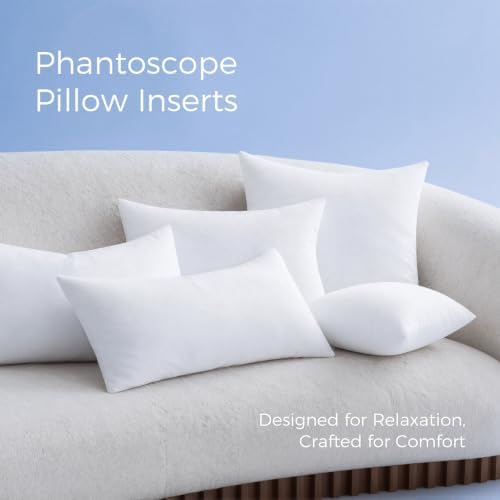 Phantoscope 20x20 Throw Pillow Insert Decorative Throw Pillow for