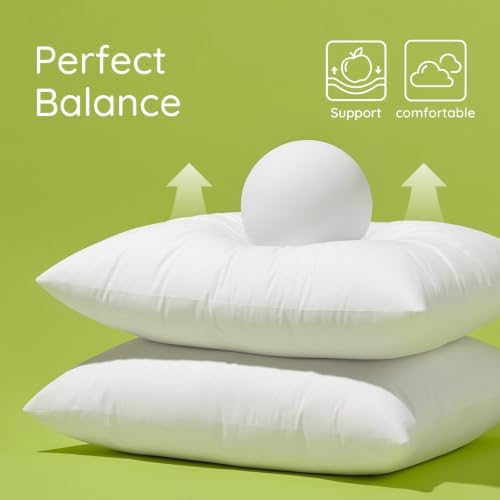 Ashler 18 x 18 Pillow Inserts with 100% Cotton Cover, Set of 2