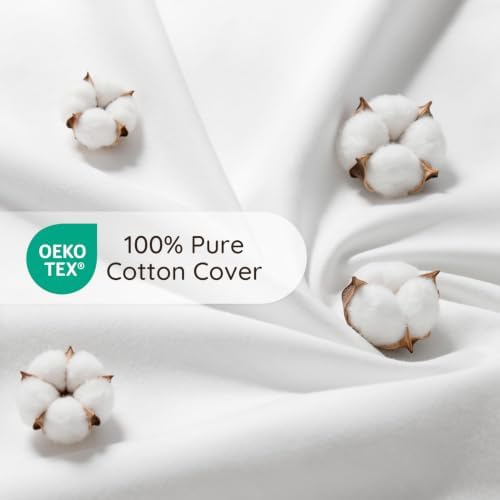 Ashler 18 x 18 Pillow Inserts with 100% Cotton Cover, Set of 2