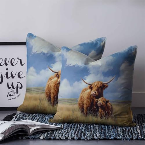 20x20 Pillow Covers Set of 2, Farm Yak Throw Pillow Covers Decorative