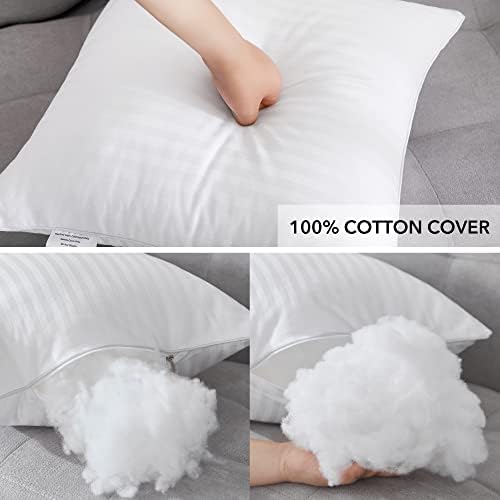 Oubonun 20 x 20 Throw Pillow Inserts Set of 2