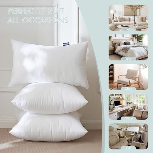 MIULEE Pillow Insert 18x18 Inch Set of 2, Decorative Throw Pillow