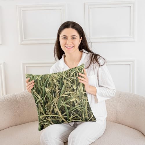 Feelyou Tree Camo Cushion Case 22 x 22-Inch Botanical Throw Pillow