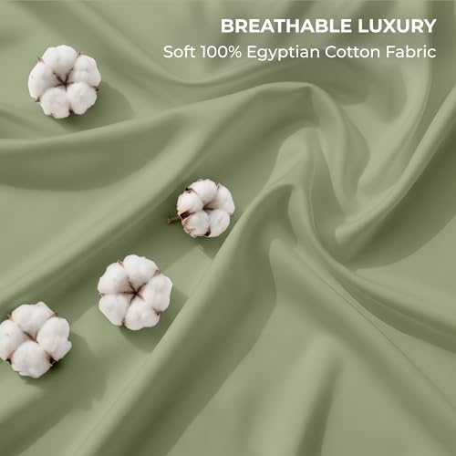 SGI bedding 100% Egyptian Cotton Sheets King Size – 600 Thread Count