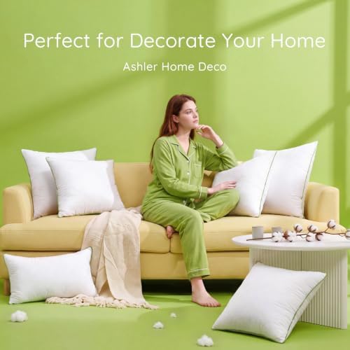 Ashler 18 x 18 Pillow Inserts Set of 4, Hypoallergenic Pillow