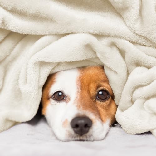 Hansleep Full Beige Fleece Blanket, Soft Flannel Bed Blanket