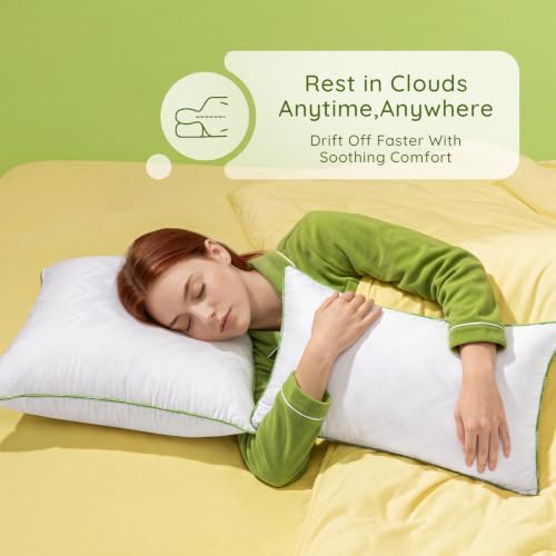 Ashler 18 x 18 Pillow Inserts Set of 4, Hypoallergenic Pillow