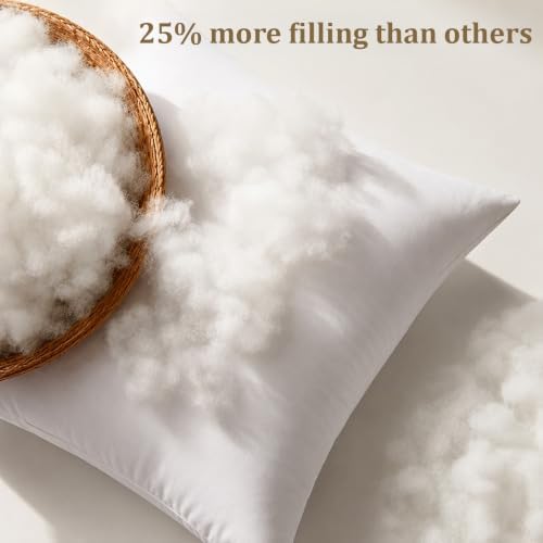 Ridhi White Throw Pillow Inserts, 20x20 Inch, Pack of 4, Down