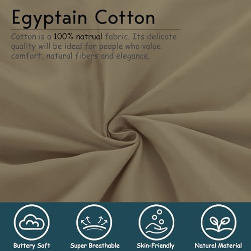 SKY BEDDINGS Twin XL Sheet Set, 100% Egyptian Cotton, Sateen, Taupe