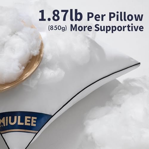 MIULEE 20x20 Pillow Inserts 2 Pack, Premium Down Alternative Throw
