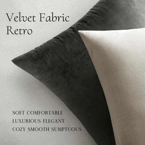 MIULEE Velvet Throw Pillow Covers 20x20 Inch Pack of 2 Cream White