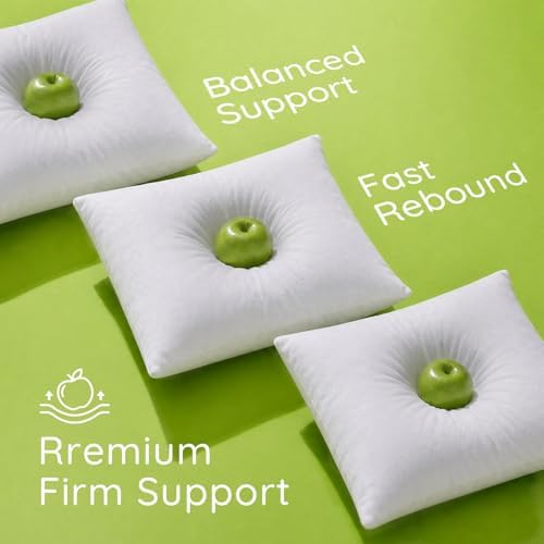 Ashler 18x18 Pillows, Hypoallergenic Throw Pillow Inserts