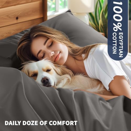 Shilucheng 100% Egyptian Cotton King Size Sheets Set (Dark Grey, King)