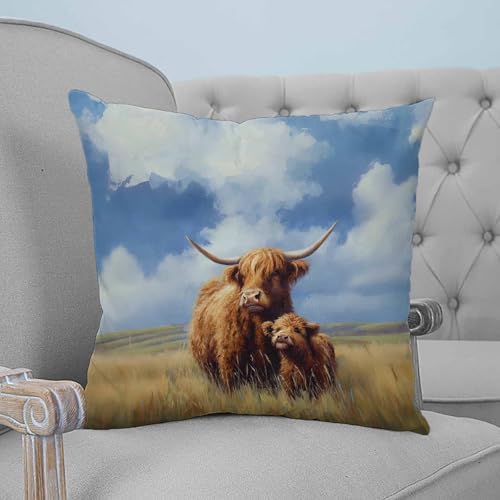 20x20 Pillow Covers Set of 2, Farm Yak Throw Pillow Covers Decorative