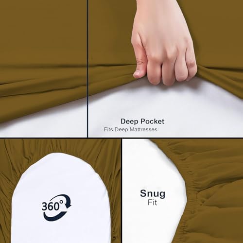 1Pcs Fitted Sheet Only 100% Egyptian Cotton 800 Thread Count Twin XL