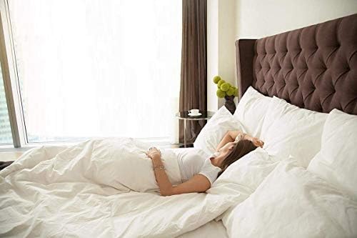 1 Piece Flat Sheet (Top Sheet) Only - 1500 Thread Count 100% Egyptian