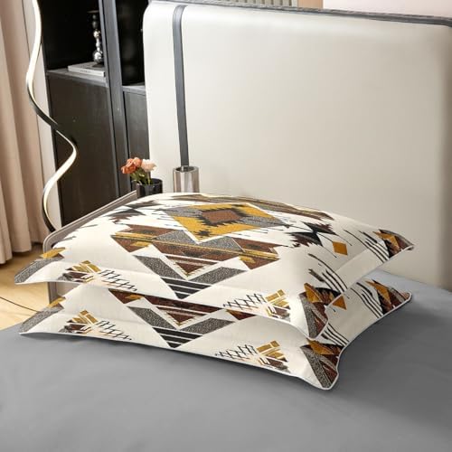 jejeloiu Southwestern Duvet Cover 100% Cotton Queen Size Boys Girls