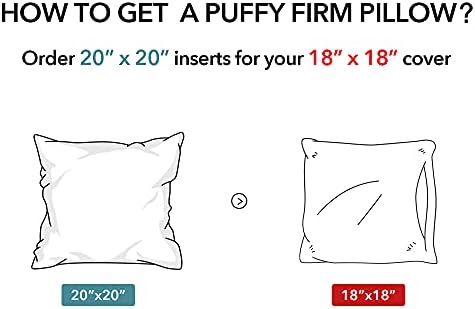 Oubonun 20 x 20 Throw Pillow Inserts (Set of 2) with 100% Cotton Cover