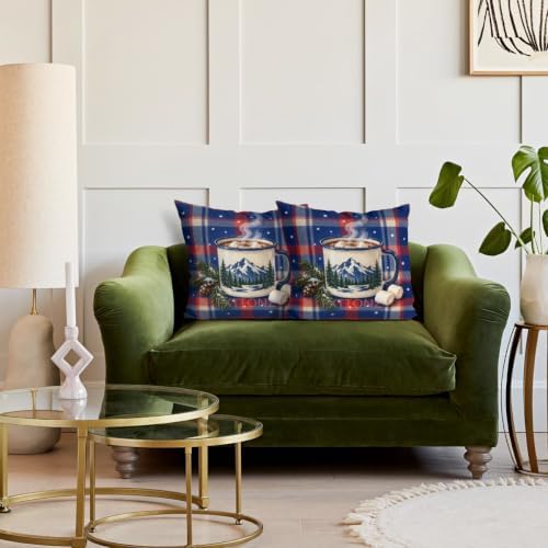 Plaid Accent Pillow Covers 22x22 Inch Set of 2 Linen for Kitchen