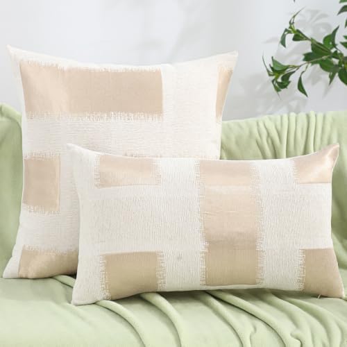 Set of 2 Chenille Jacquard Throw Pillow Covers 20x20 Inches, Modern
