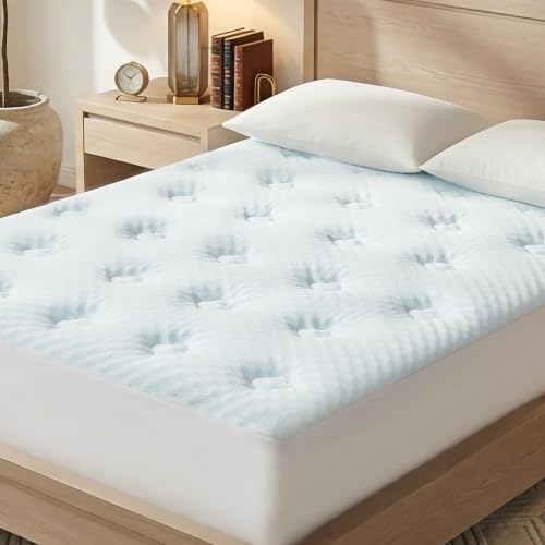 Hansleep Queen Mattress Topper Quilted Fitted Mattress Pad—Back Pain