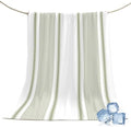 30"x40" Throw Cooling Blanket Sage Green Stripe Ice Silk Lightweight