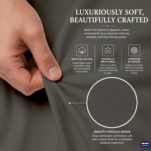 Cottingon 4 Piece King Sheets Fits 16" Deep, Egyptian Cotton, Dark