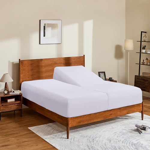 2 Pack Twin XL Fitted Sheet - 100% Egyptian Cotton 600 Thread Count