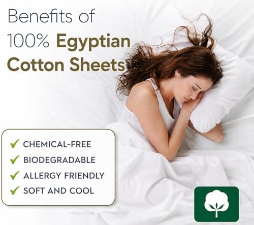 Luxury 100% Egyptian Cotton Olympic Queen Size 1PC Flat Sheet Only