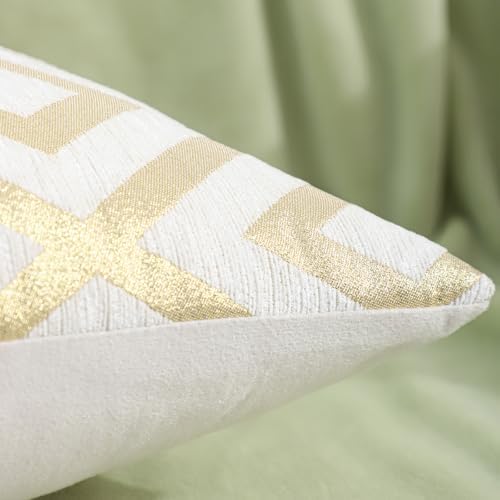 Set of 2 Chenille Jacquard Throw Pillow Covers 20x20 Inches, Luxury