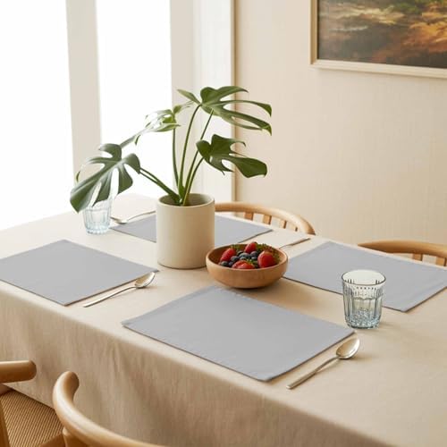 Placemats Set of 8, Grey Solid Color Washable Table Mats for Dining