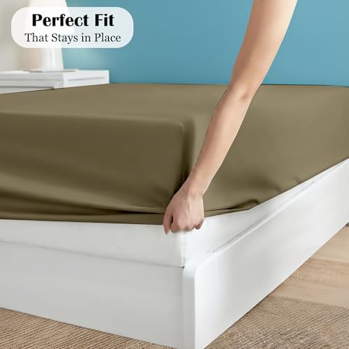 Egyptian Cotton Fitted Sheet Queen Size 16 Inch Deep - Taupe