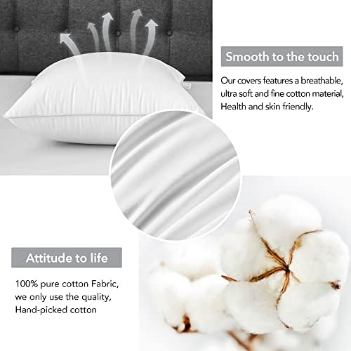 FAVRIQ 20 x 20 Pillow Inserts (Set of 2) - 20 Inch Square Interior