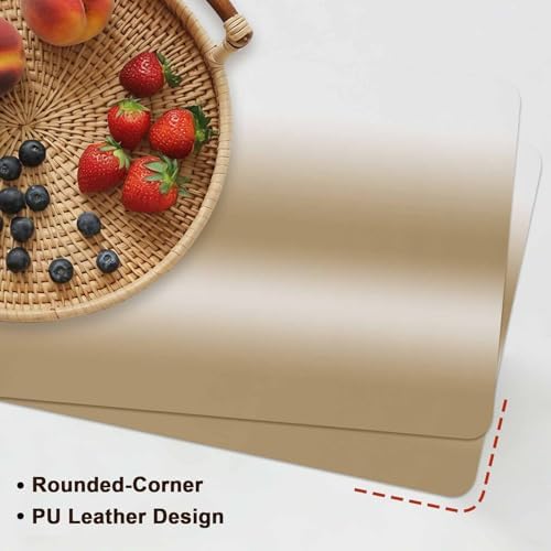 Placemats Set of 6 Vintage Brown Gradient Heat-Proof Water-Proof