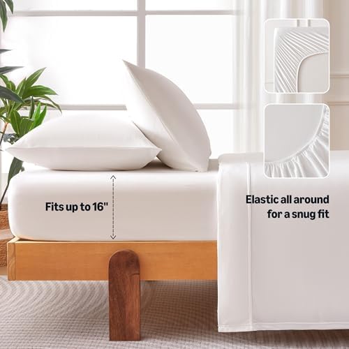 Amazon Basics Jersey Knit 4-Piece Sheet Set, Wrinkle Free and Easy