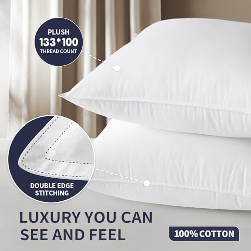 MIULEE 20x20 Throw Pillow Inserts,Set of 2 Decorative Pillow Inserts