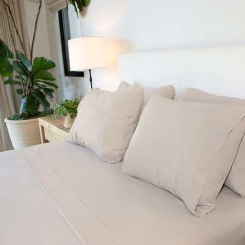 Jennifer Adams Eternal Sheet Set, 4-Piece Microfiber Sheets &