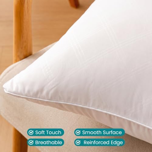 Oubonun 20x20 Throw Pillow Inserts Set of 2, Soft Decorative Couch