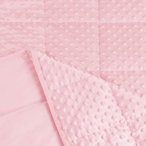 ALANSMA Reversible Weighted Blanket for All Season, Luxury Velvet