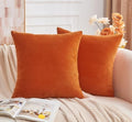 Throw Pillow Covers Burnt Orange Set of 2 18x18 Inch Fall Pillow
