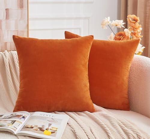 Throw Pillow Covers Burnt Orange Set of 2 18x18 Inch Fall Pillow
