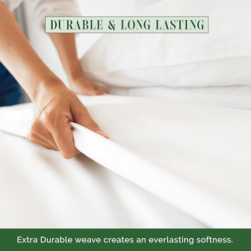Luxury Flat Sheet on Amazon Elegant Comfort Wrinkle-Free 1500 Premier