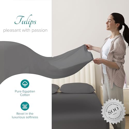 Carressa Linen 800 Series Egyptian Cotton King Size Sheets, Dark Grey