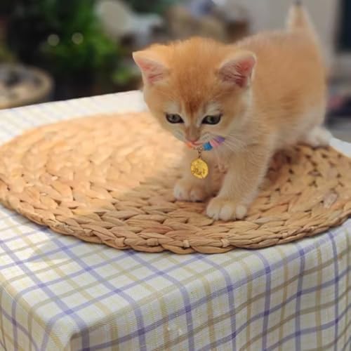 Round Woven Placemats Set of 8,Rattan Placemats Natural Hand-Woven