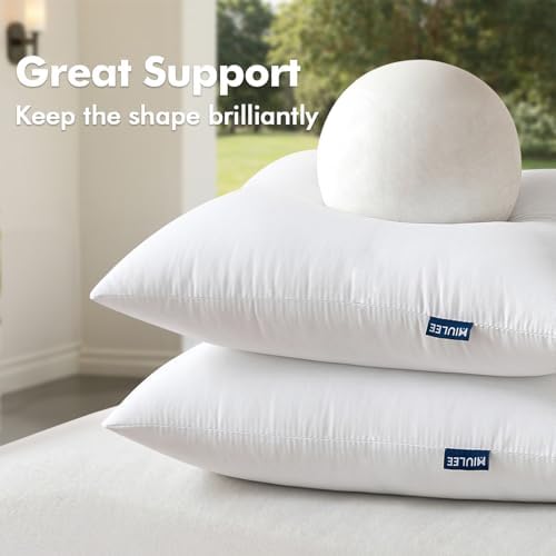 MIULEE Pack of 4 18x18 Inch Outdoor Pillow Inserts