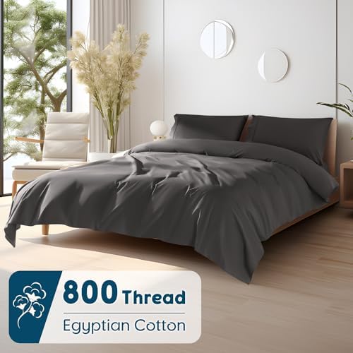 SONORO KATE 800 Series 100% Egyptian Cotton King Sheet Set,Sateen