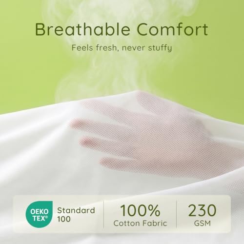 Ashler 18x18 Pillow Inserts Set of 2, Hypoallergenic Throw Pillow