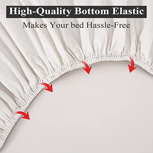 2-Pack Pure Cotton Twin Size Fitted Sheet, 600 Thread Count, Light